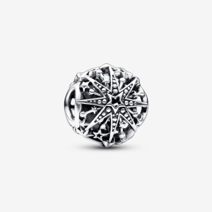 Charm Stella Invernale